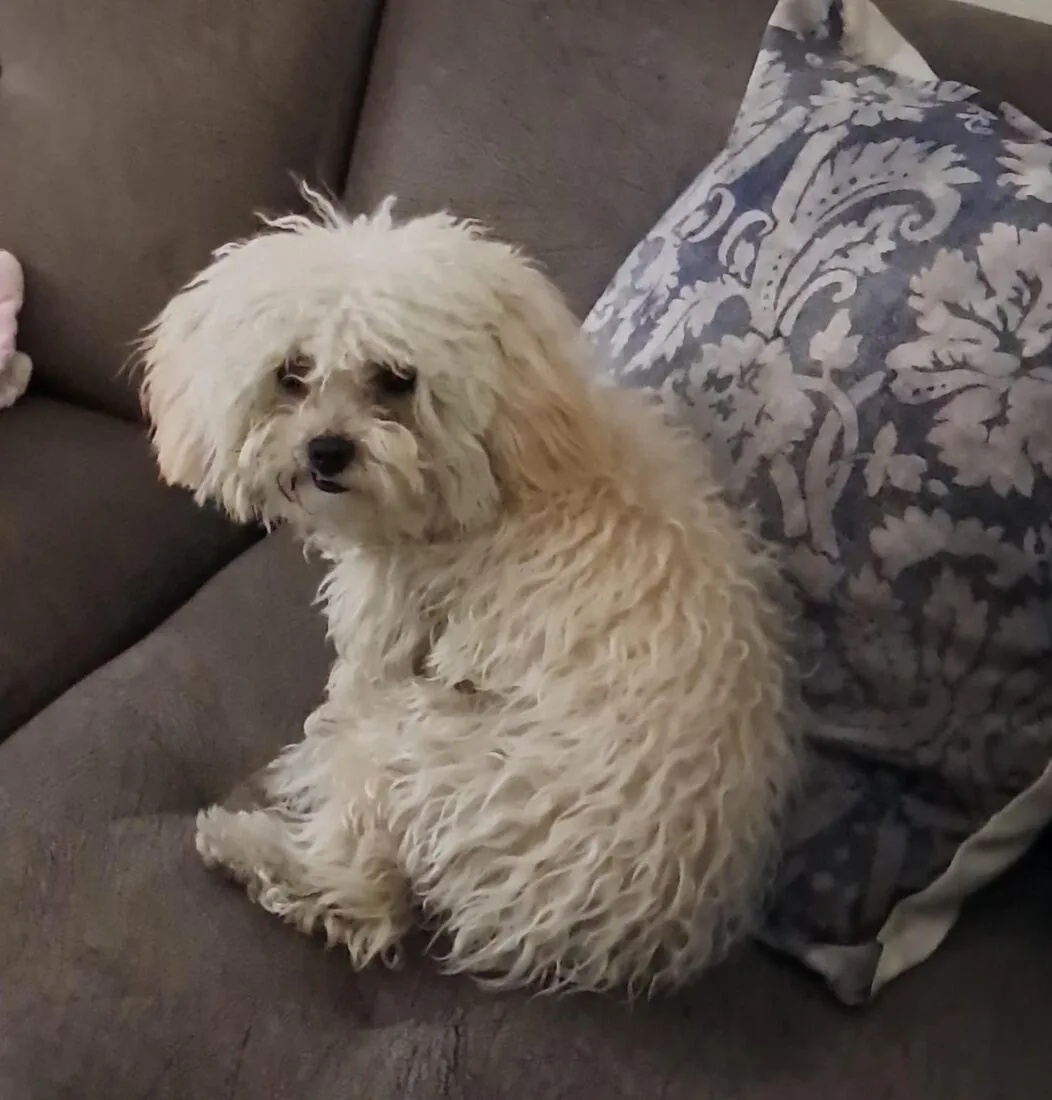 Muñeca, la de Palmira